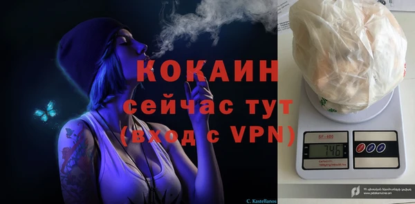 ПСИЛОЦИБИНОВЫЕ ГРИБЫ Аркадак