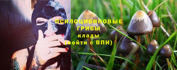 ПСИЛОЦИБИНОВЫЕ ГРИБЫ Аркадак