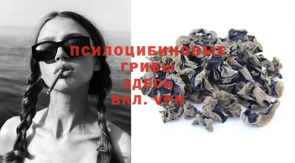 ПСИЛОЦИБИНОВЫЕ ГРИБЫ Аркадак