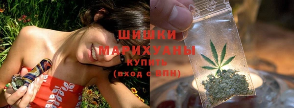 ПСИЛОЦИБИНОВЫЕ ГРИБЫ Аркадак