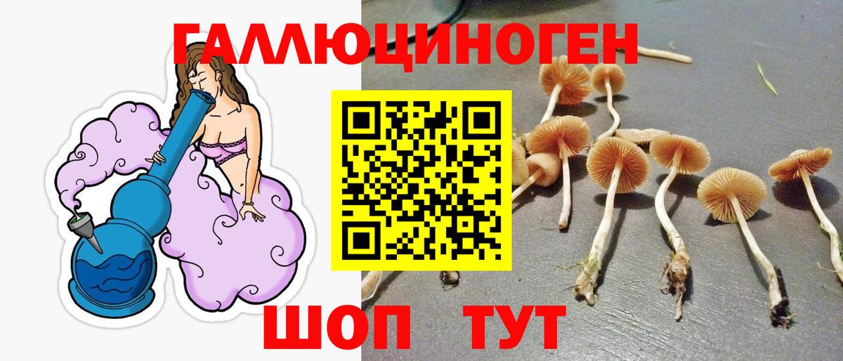 Галлюциногенные грибы GOLDEN TEACHER  Галлюциногенные грибы Magic Shrooms  Сатка  Вход с VPN 